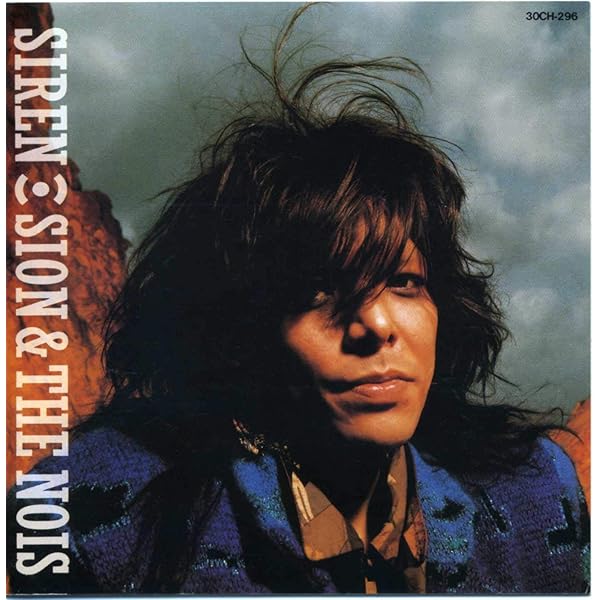 Sion Strange But True レコード 未開封 Sion Strange But True レコード 未開封 2025年最新】strange but true